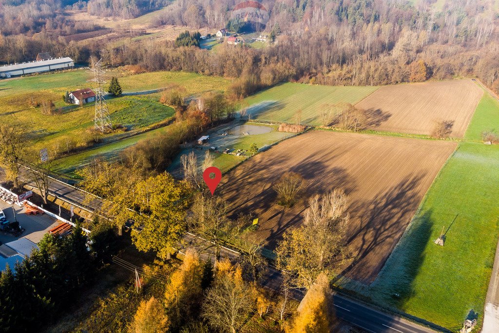 Działka komercyjna na sprzedaż Krzywaczka  8 200m2 Foto 16