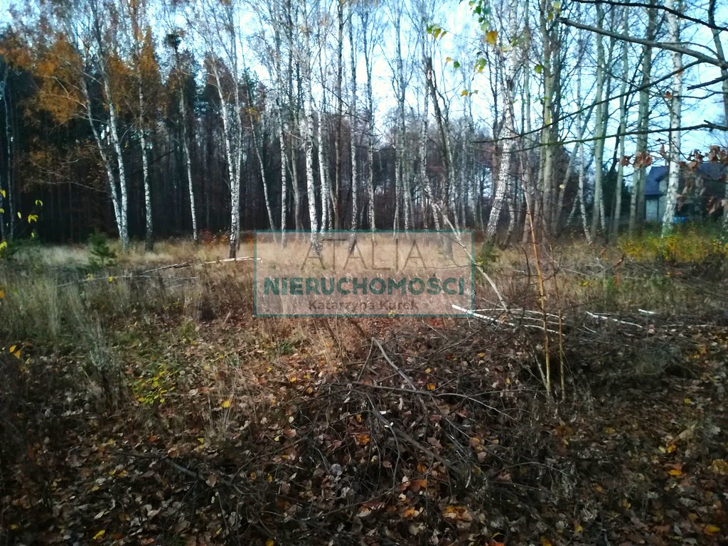Działka 1541 m² z prądem i światłowodem - polecam Szczęsne  1 541m2 Foto 1