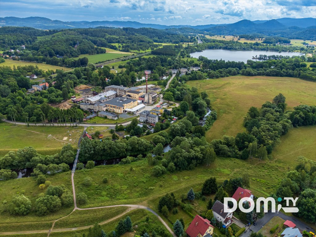 Lokal użytkowy na sprzedaż Dąbrowica  11 500m2 Foto 44