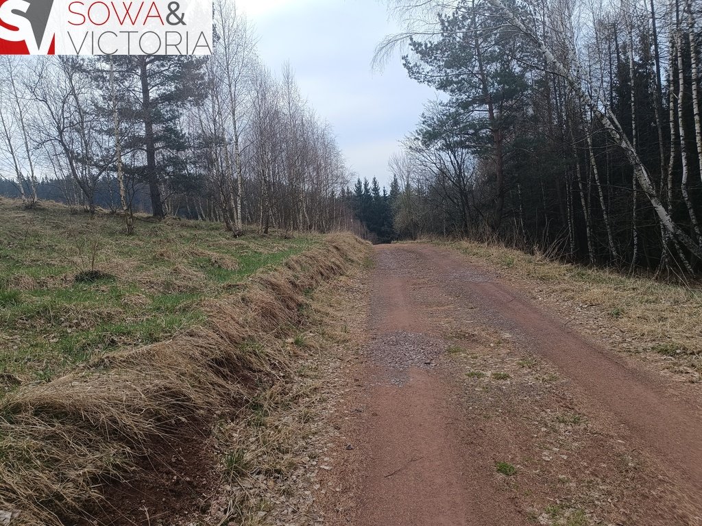 Działka 5216 m2 w lesistym otoczeniu, bez zabudowy Grzędy  5 216m2 Foto 1