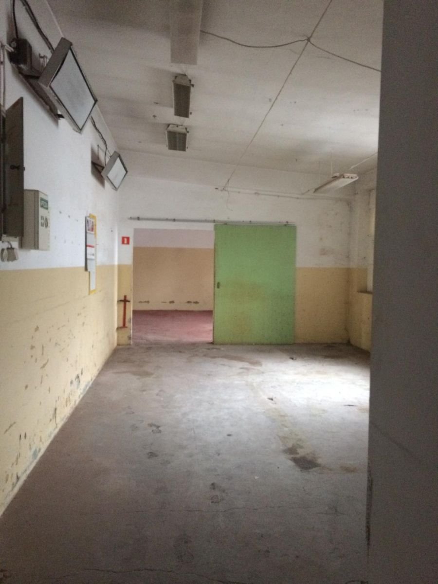 Lokal użytkowy na sprzedaż Bielsko-Biała, Michała Grażyńskiego  1 626m2 Foto 16