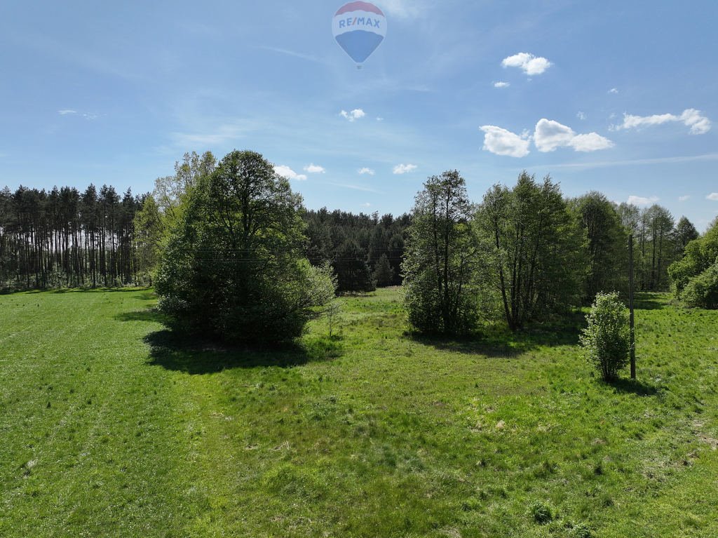 Działka budowlana na sprzedaż Chojniki  8 177m2 Foto 8