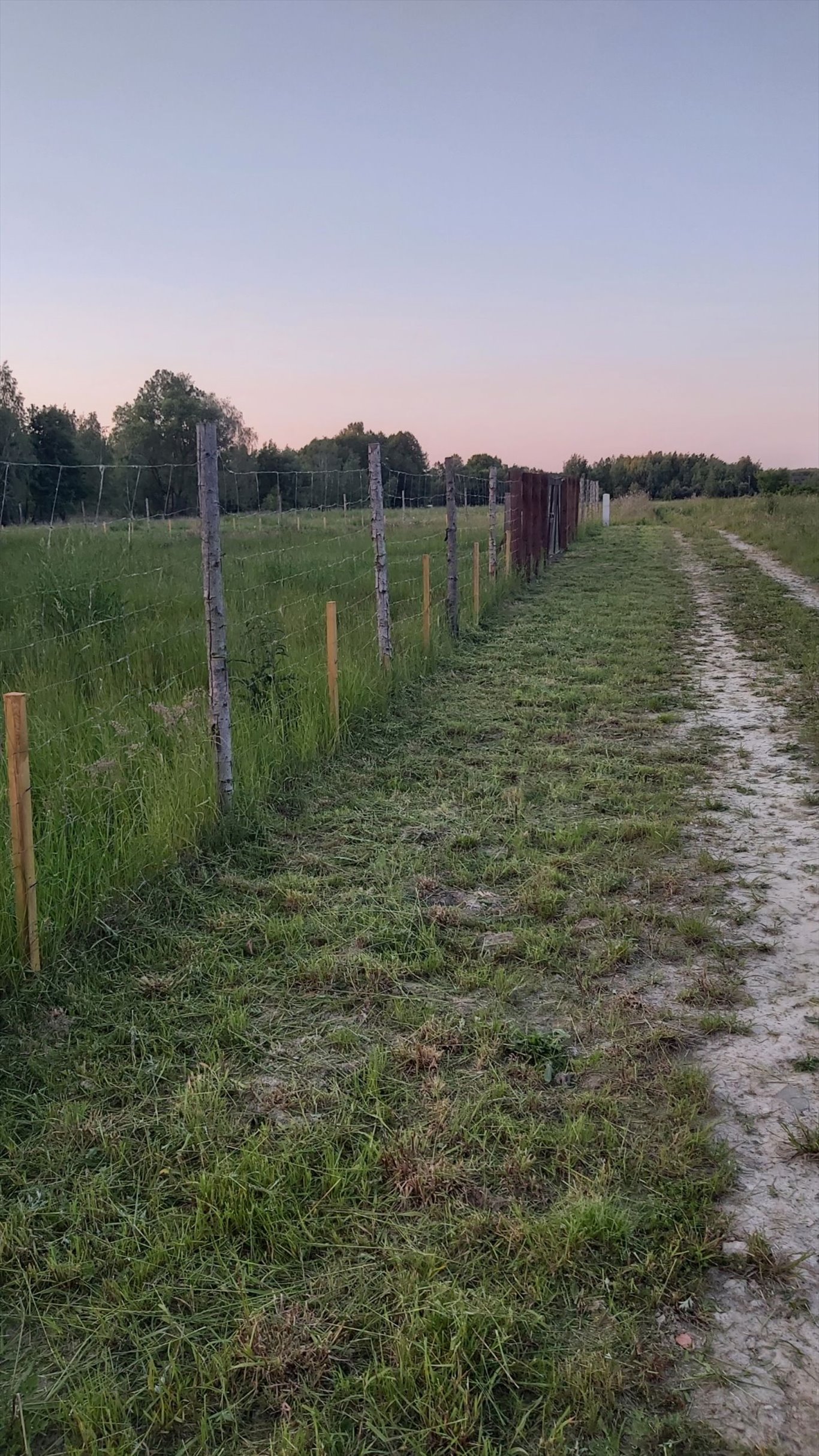 Działka budowlana na sprzedaż Radonie  3 000m2 Foto 10