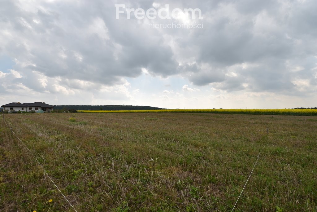 Działka inna na sprzedaż Wólka Bałtowska-Kolonia  930m2 Foto 8