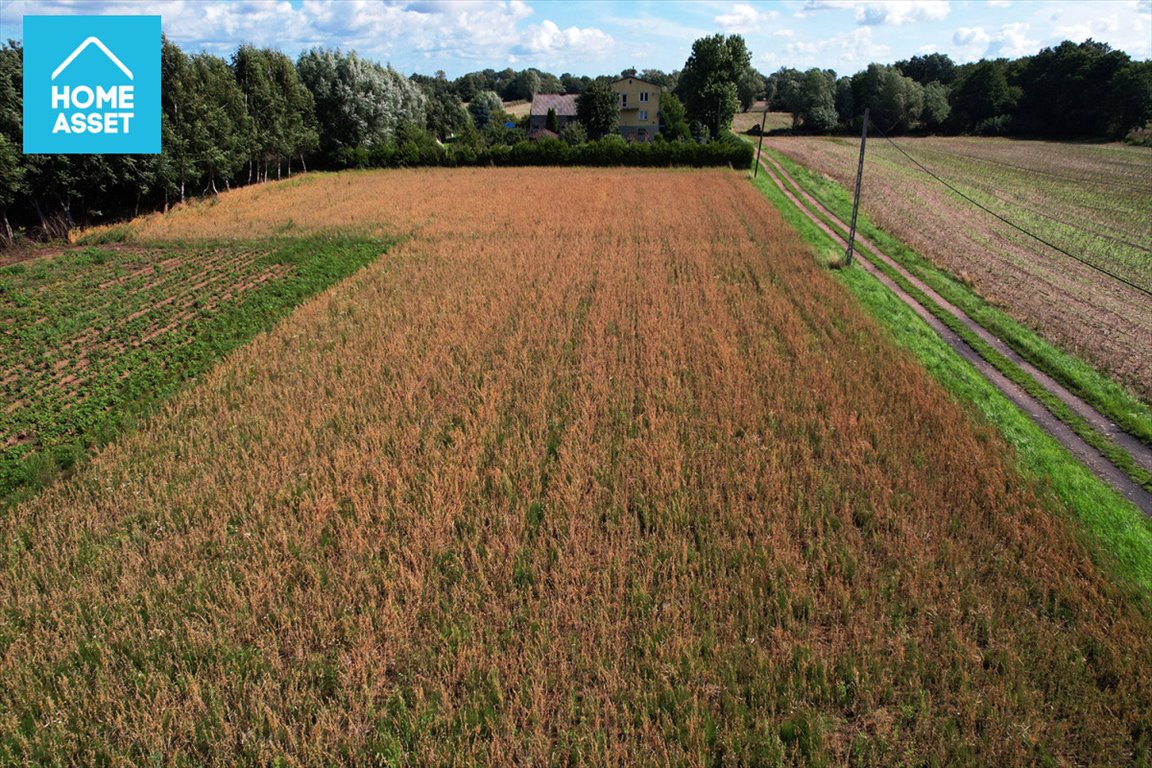 Działka budowlana na sprzedaż Piaskowiec  1 078m2 Foto 9