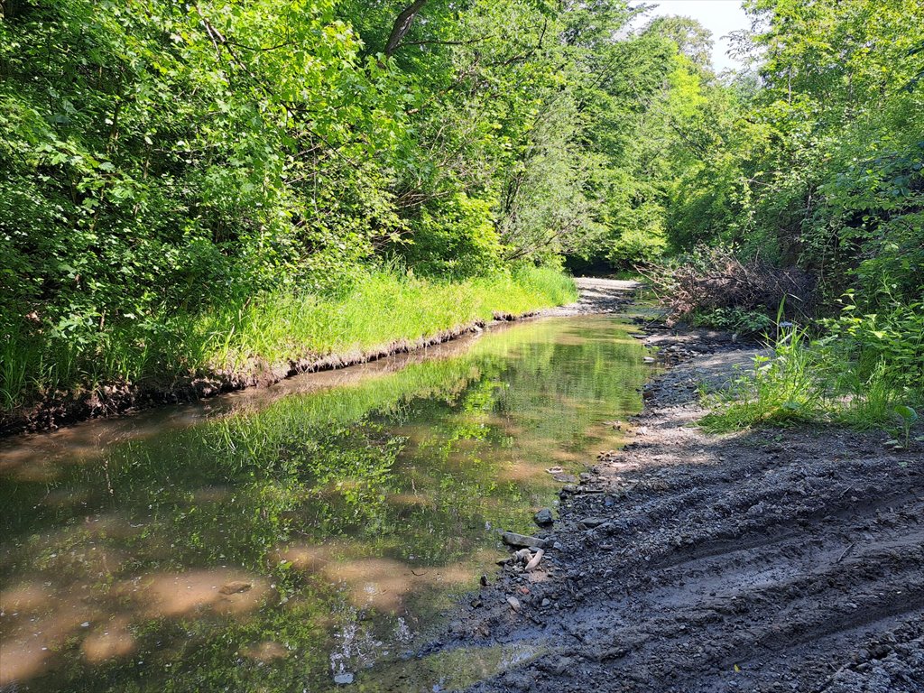 Działka rolna na sprzedaż Duląbka  7 600m2 Foto 1