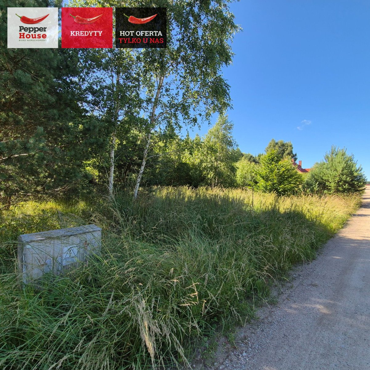 Na sprzedaż działka 785 m² w Domatówku z mediami i lasem Domatówko, Sosnowa  785m2 Foto 1