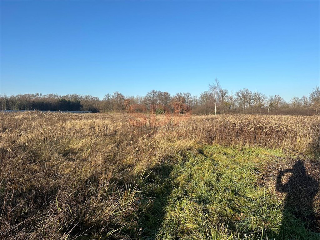 Działka budowlana na sprzedaż Żurawiniec, Kasztanowa  1 190m2 Foto 5