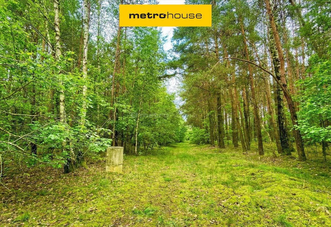 Działki budowlane w Starym Adamowie od 831 m², 185 zł/m² Stary Adamów, Nastrojowa  1 000m2 Foto 1