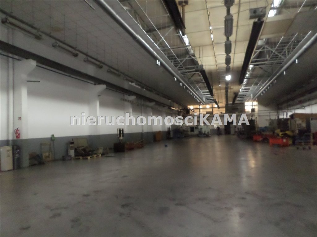 Magazyn na wynajem Bielsko-Biała  1 209m2 Foto 3