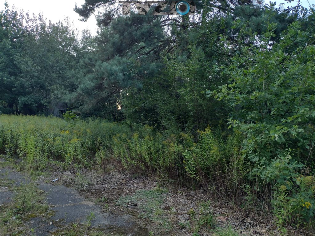 Działka budowlana na sprzedaż Góraszka, Góraszka, Dębowa  2 200m2 Foto 19