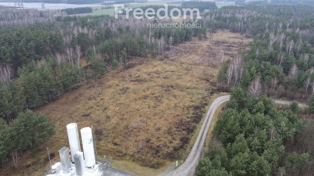 Działka komercyjna na sprzedaż Wola Paprotnia, Jana Kilińskiego  30 100m2 Foto 1