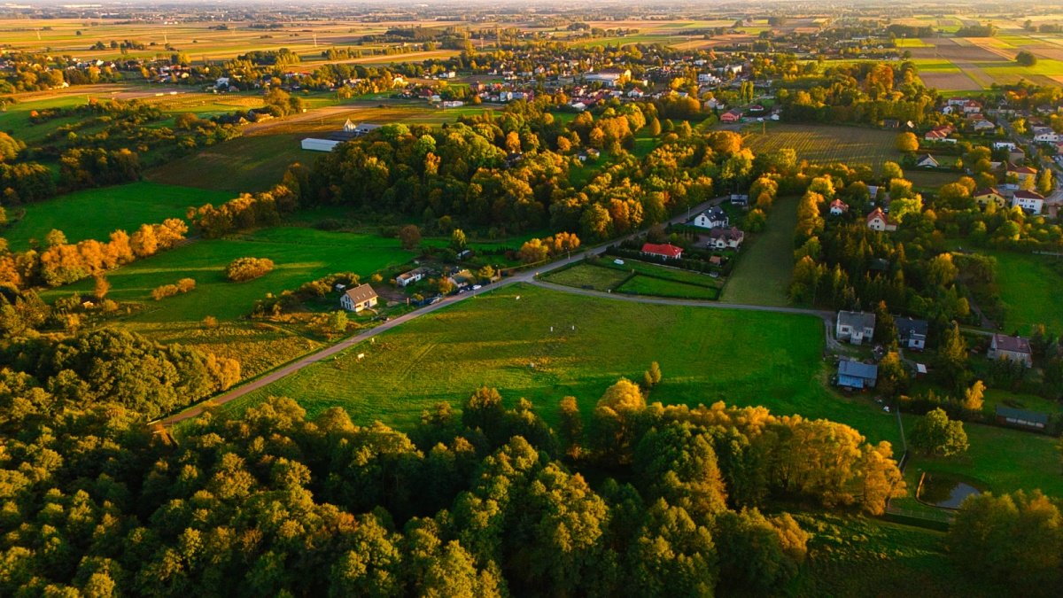 Działka budowlana na sprzedaż Kampinos, Partyzantów  1 687m2 Foto 8