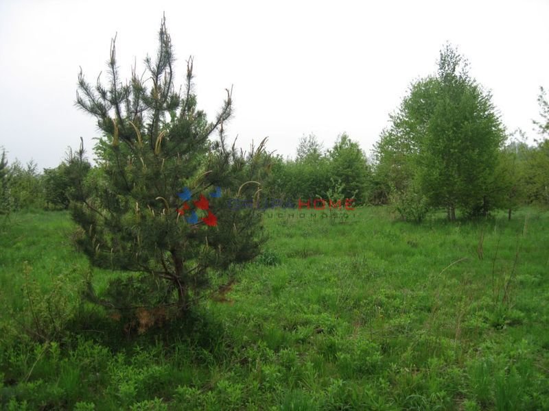 Działka budowlana 2644 m², uzbrojona, spokojna okolica Bąkówka  2 644m2 Foto 1