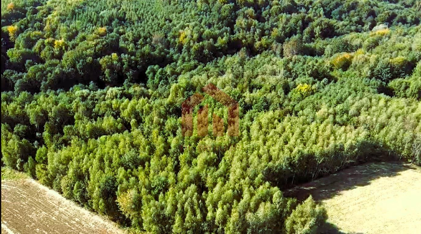 Do sprzedania las i grunty 1,58 ha w Gnojnicy Gnojnica  15 800m2 Foto 1