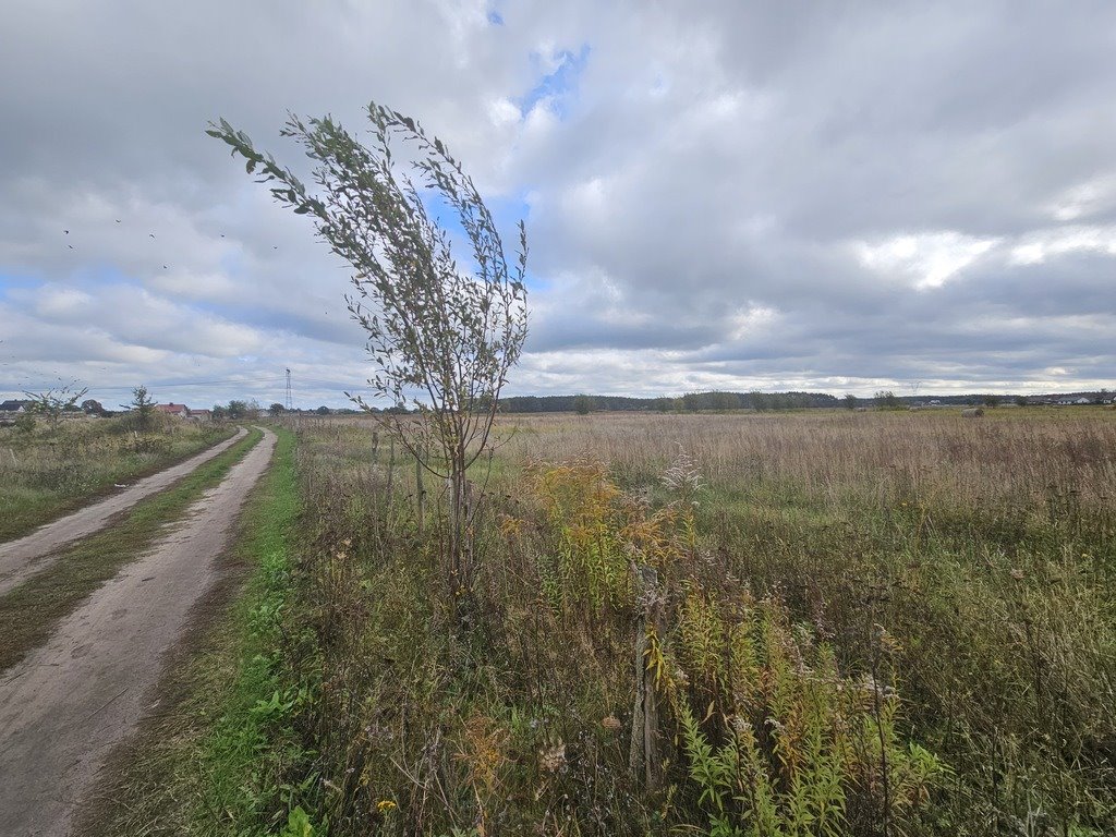 Działka budowlana na sprzedaż Osiedle Poznańskie  1 560m2 Foto 1