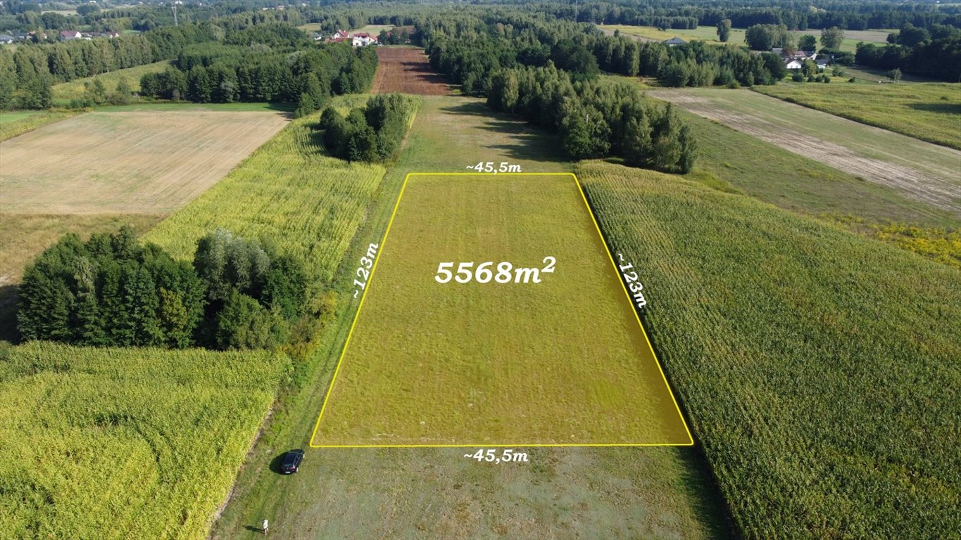 Działka rolna na sprzedaż Feliksów  5 568m2 Foto 5