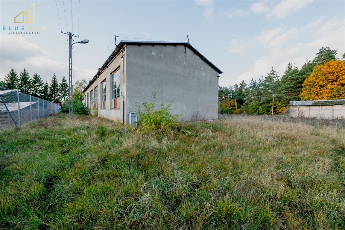 Działka budowlana na sprzedaż Milejczyce  5 391m2 Foto 7