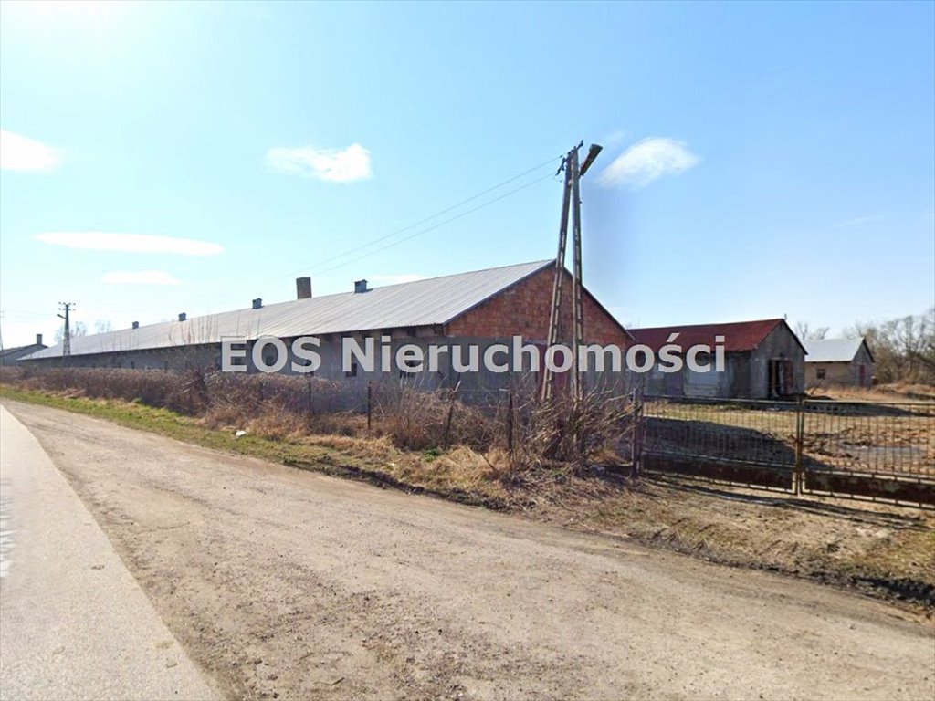 Zapraszam do obejrzenia dużej nieruchomości 5510 m² w Nowej Suche Nowa Sucha  5 510m2 Foto 1