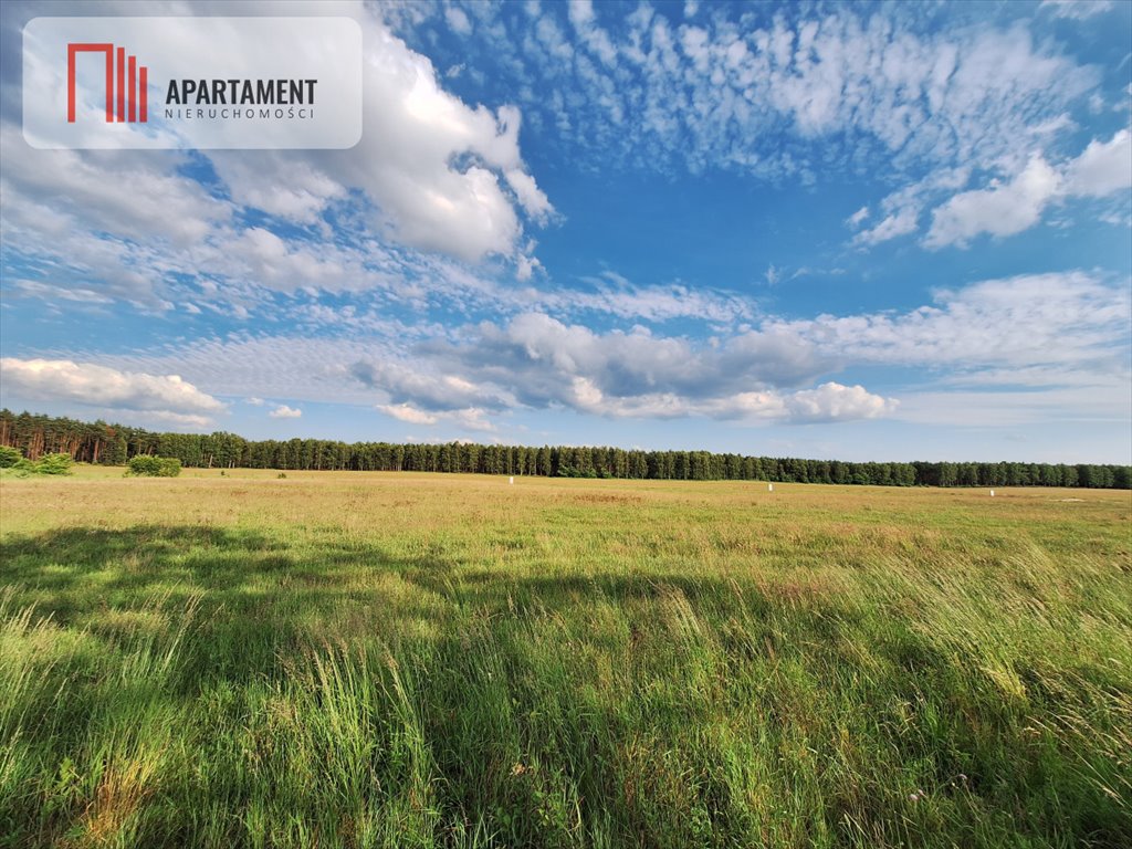 Działka budowlana na sprzedaż Plecemin  315m2 Foto 3