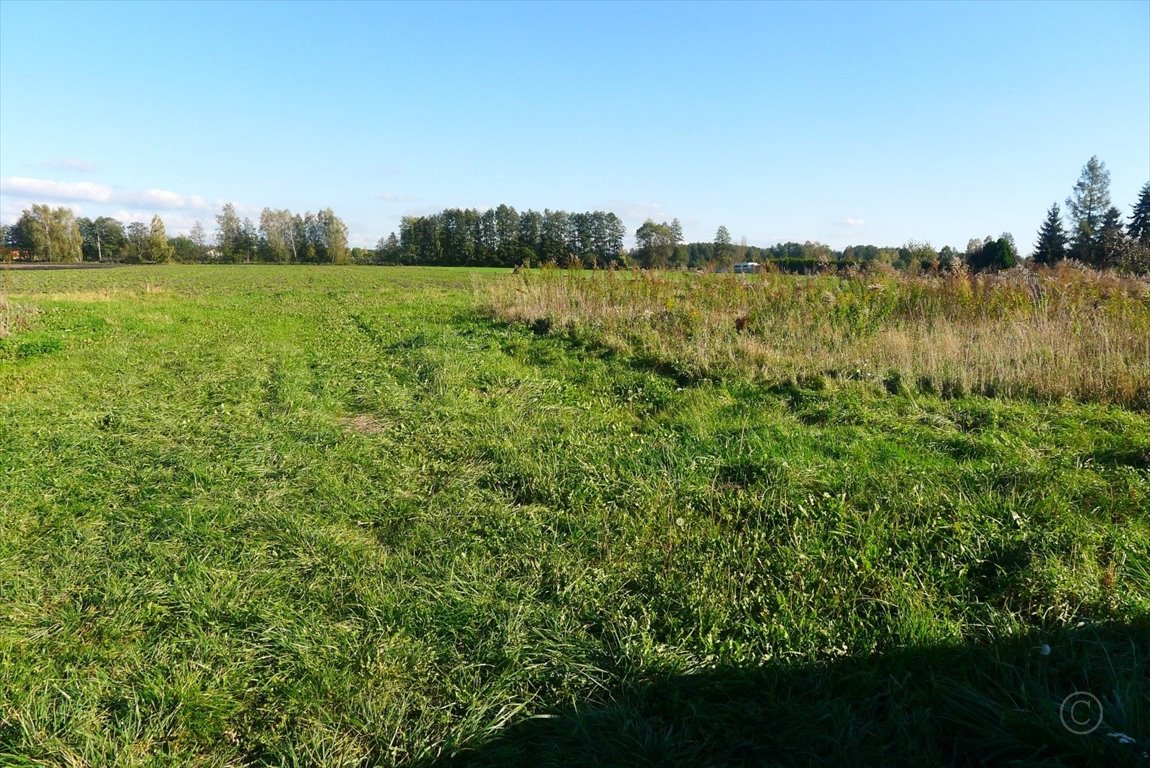 Działka inna na sprzedaż Cedrowice  1 000m2 Foto 3