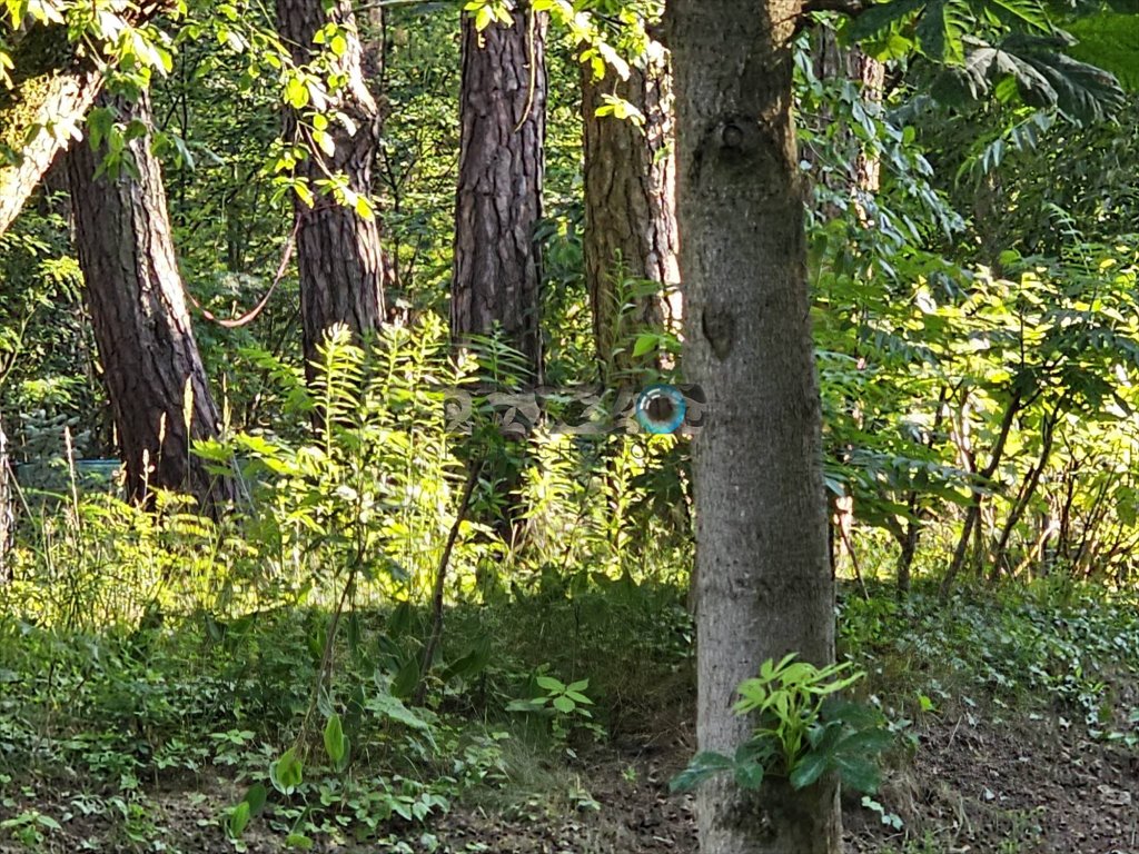 Działka 1500 m² w Otwocku - las, szeroki wjazd, media Otwock, Otwock  1 500m2 Foto 1