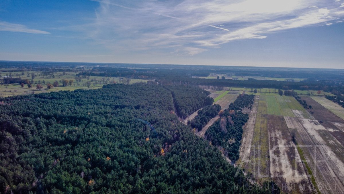 Działka rekreacyjna na sprzedaż Grądy Szlacheckie  15 400m2 Foto 3