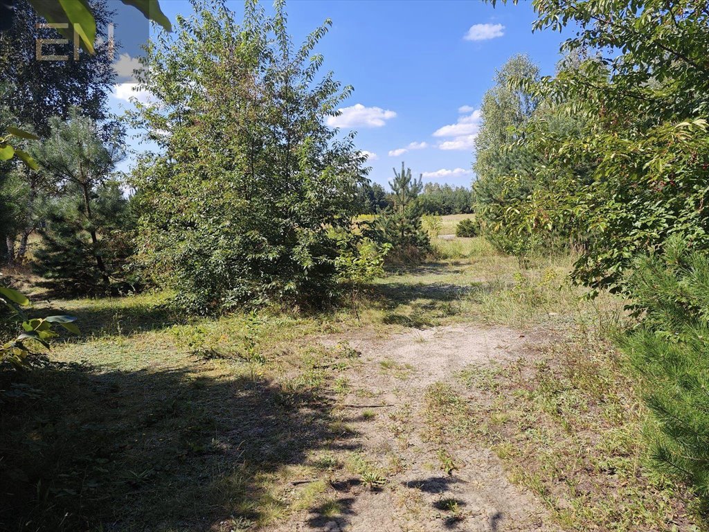 Działka budowlana na sprzedaż Wilcza Wola  1 800m2 Foto 9