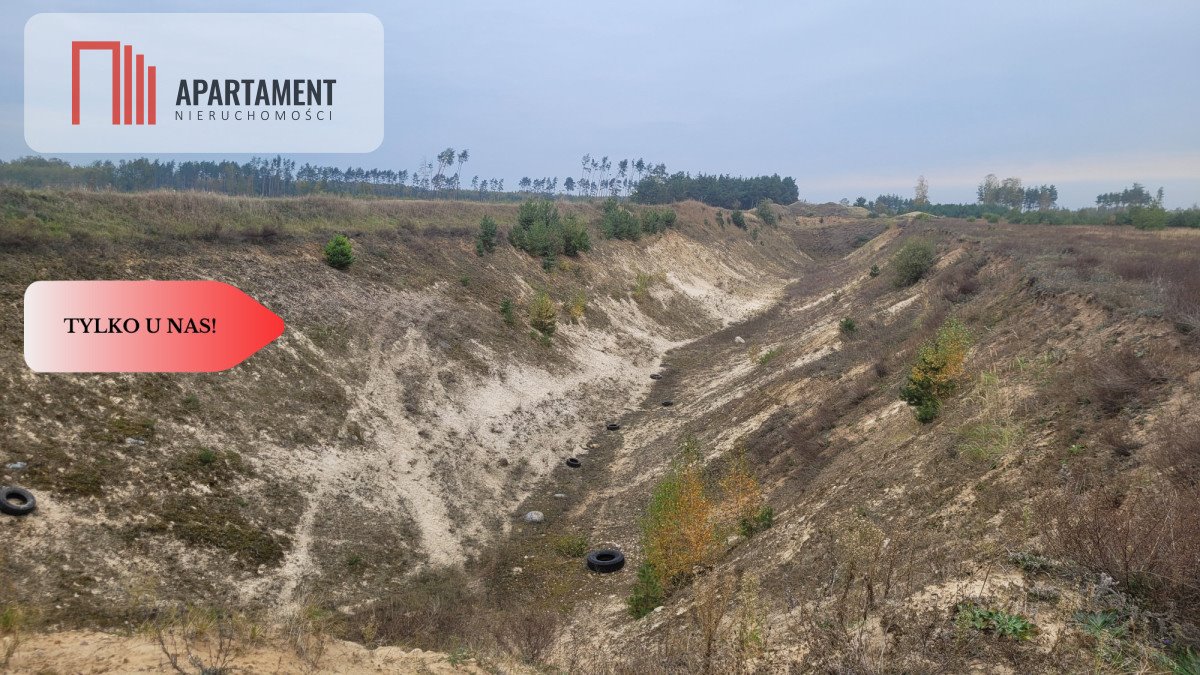 Działka gospodarstwo rolne na sprzedaż Sipiory  17 000m2 Foto 3