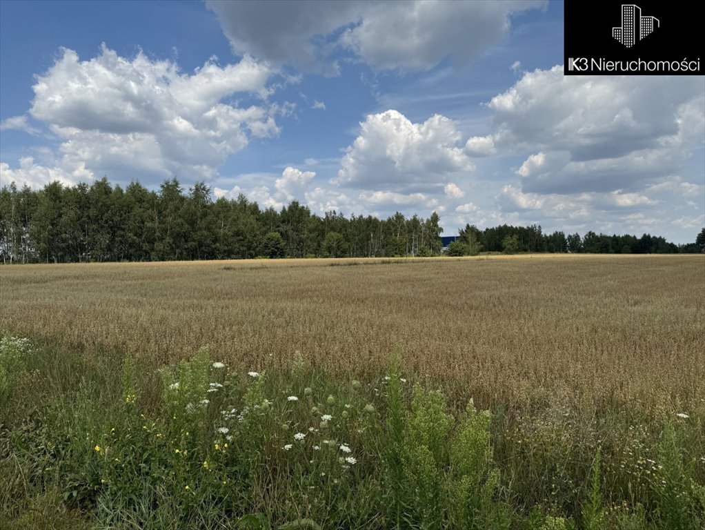 Działka przemysłowo-handlowa na sprzedaż Ujrzanów  37 000m2 Foto 9