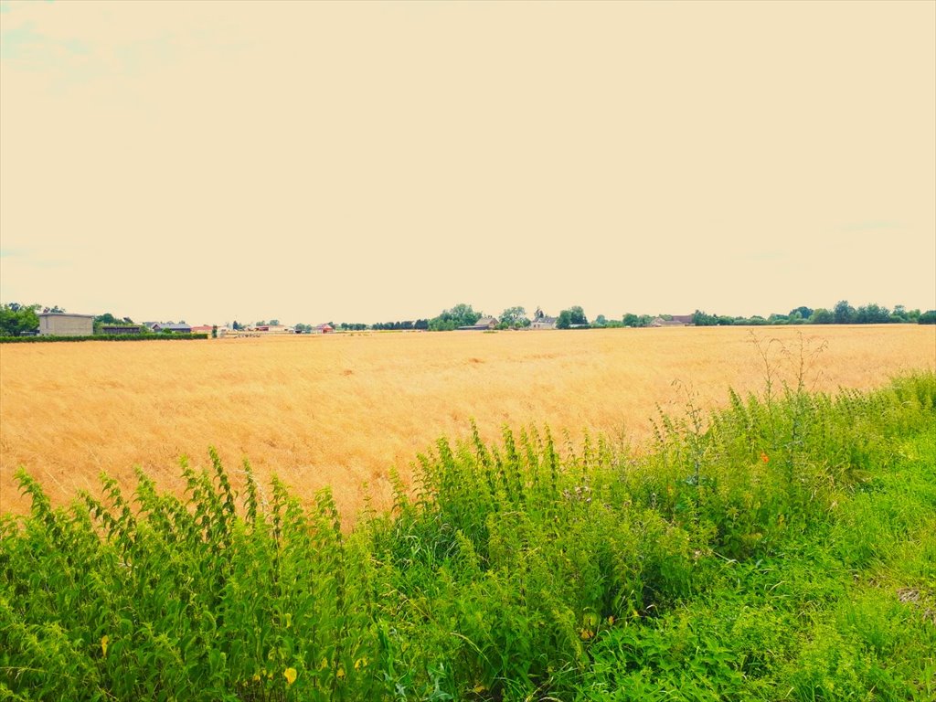 Działka rolna 20 079 m² z dostępem do mediów i asfaltowym dojazdem Wieprzyce  20 079m2 Foto 1