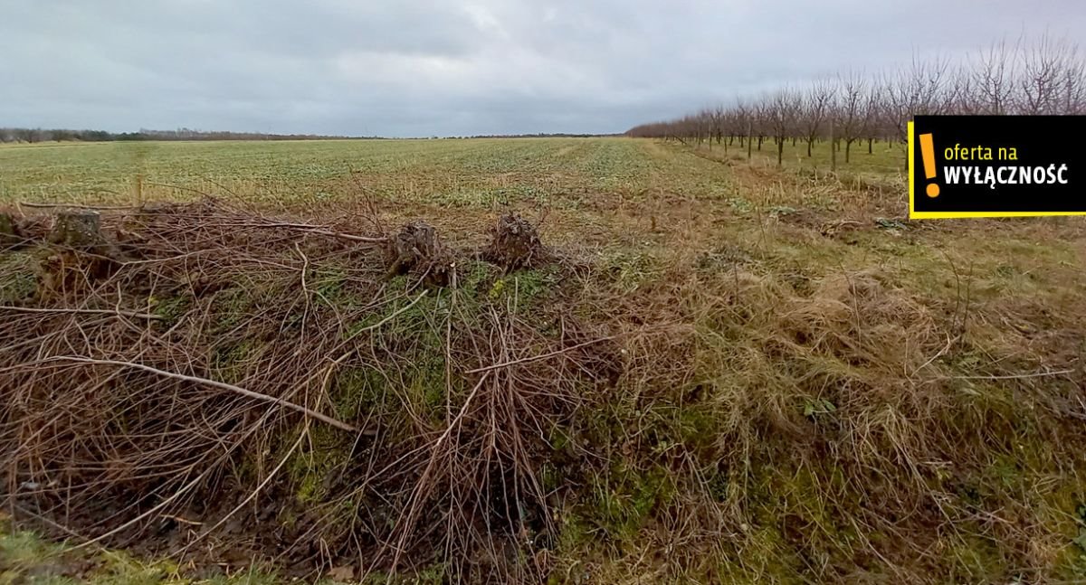 Działka budowlana na sprzedaż Rudki  9 290m2 Foto 4