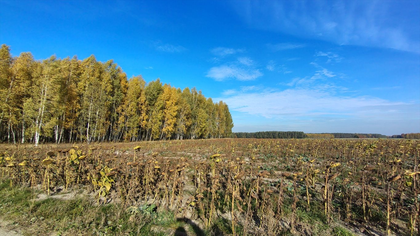 Działka budowlana na sprzedaż Brzozowica, Brzozowica  830m2 Foto 11