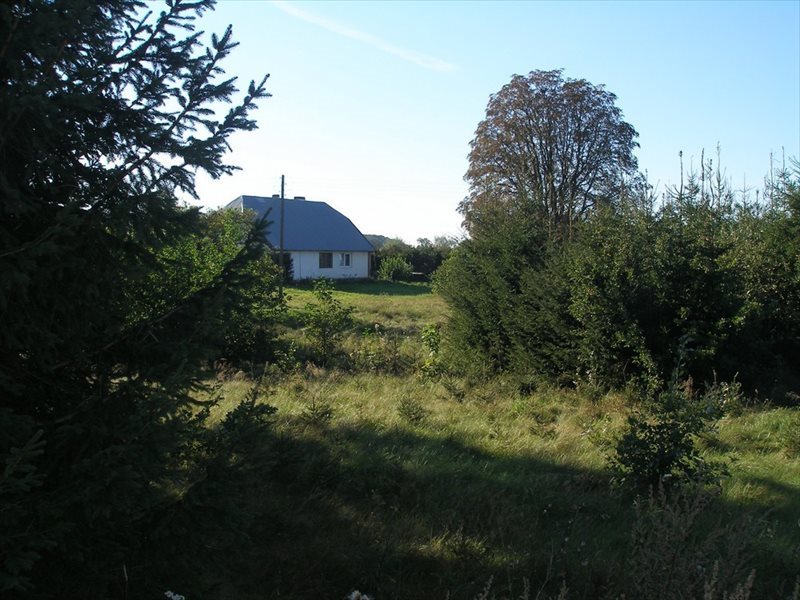 Dom na sprzedaż Płoty 100m2 Foto 1 Dom na sprzedaż Płoty 100m2 Foto 1