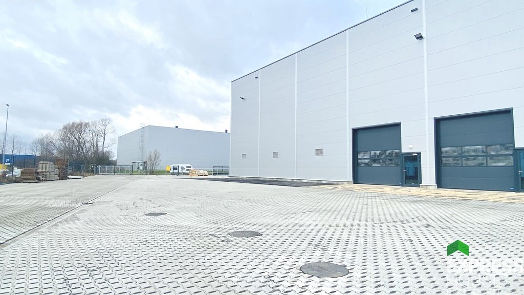 Magazyn na sprzedaż Tarnowo Podgórne  3 117m2 Foto 3