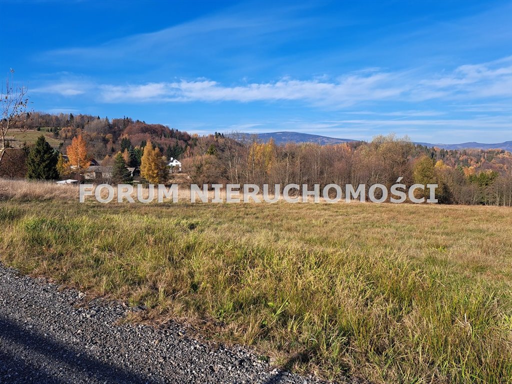 Działka budowlano-usługowa z widokiem na góry, 40,81 a Laliki  4 081m2 Foto 1