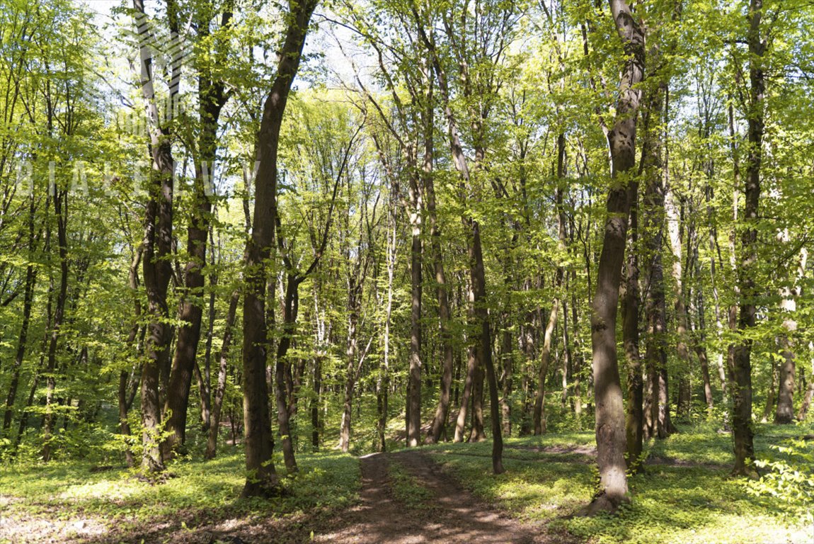 Działka budowlana na sprzedaż Lesznowola  2 230m2 Foto 3