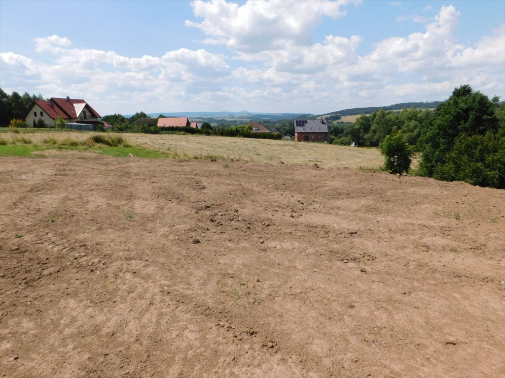 Działka budowlana na sprzedaż Boguszyn  2 000m2 Foto 3