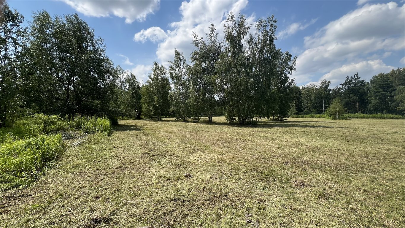 Działka budowlana na sprzedaż Kierszek, Prawdziwka  3 000m2 Foto 7