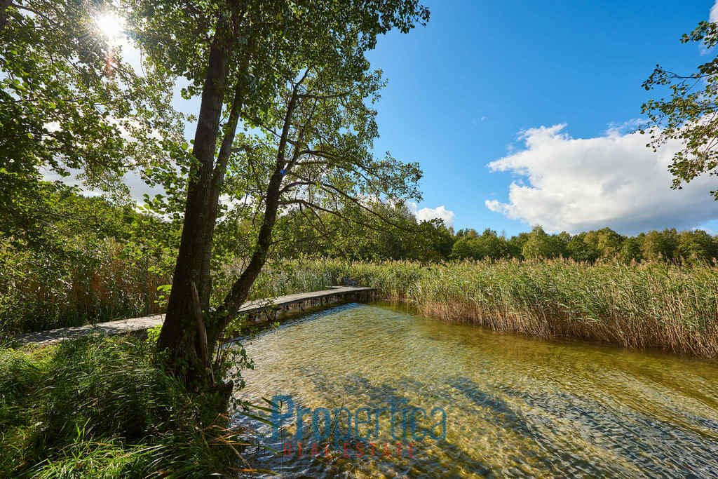 Działka inna na sprzedaż Grom  8 761m2 Foto 4