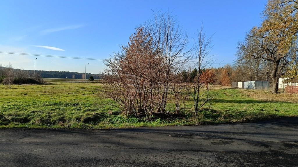 Działka inwestycyjna na sprzedaż Godzieszów  6 600m2 Foto 7