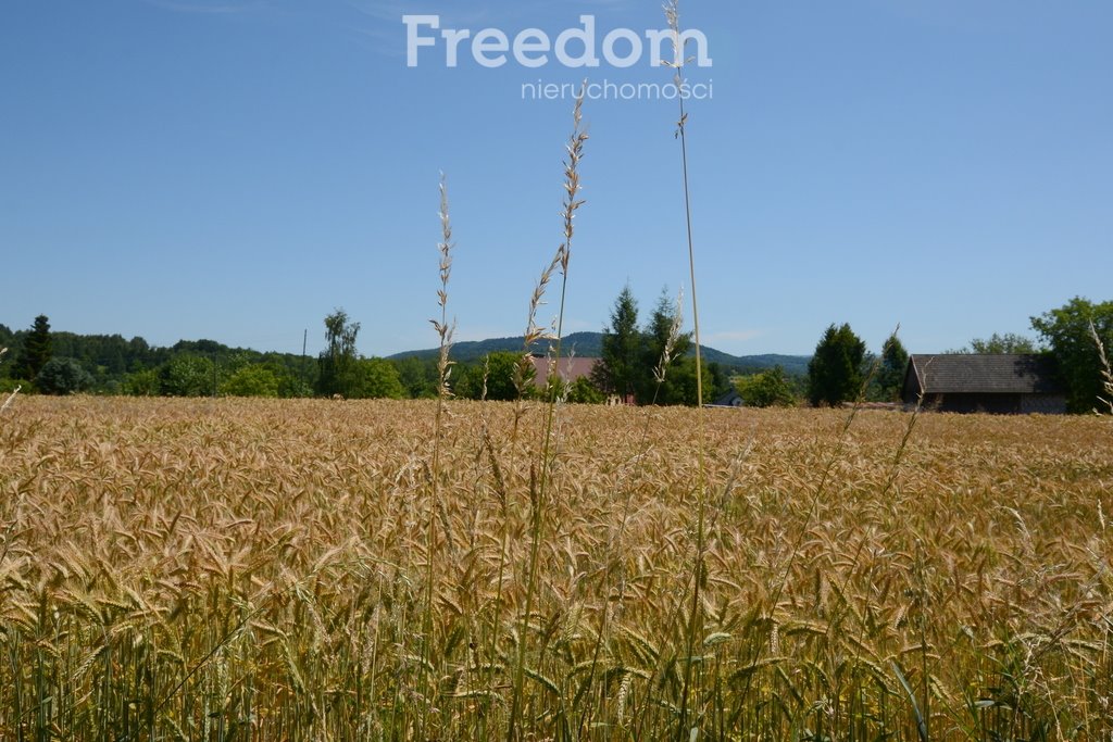 Działka budowlana na sprzedaż Barwałd Średni  1 611m2 Foto 1