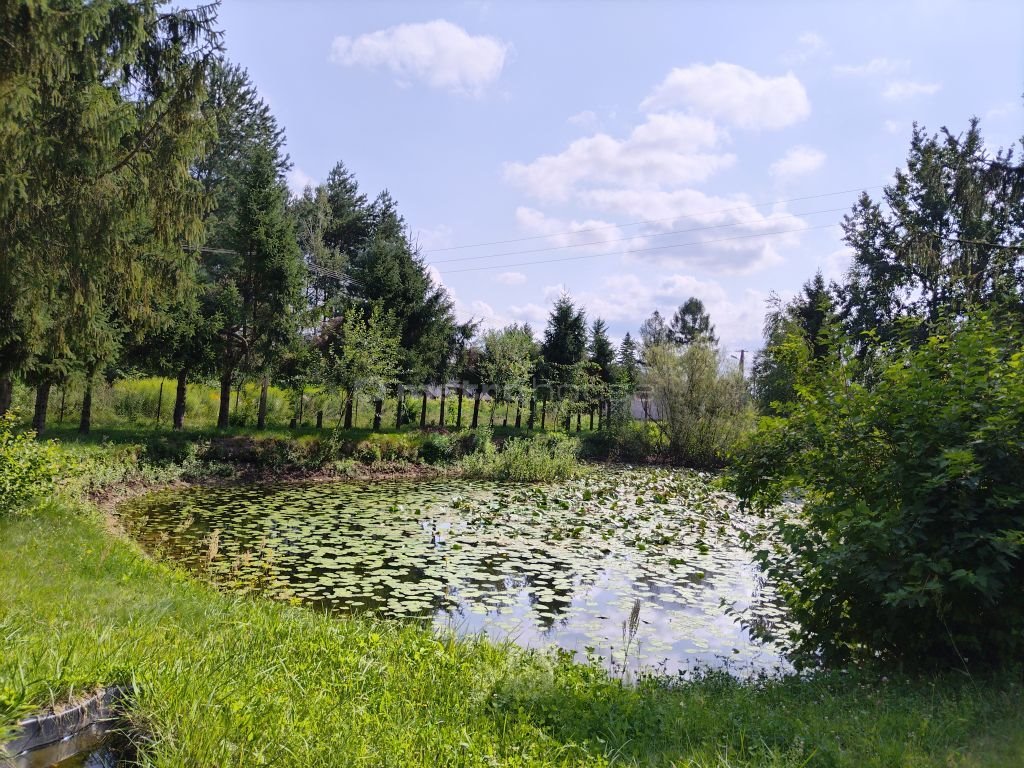 Działka inna na sprzedaż Kranów  3 800m2 Foto 1