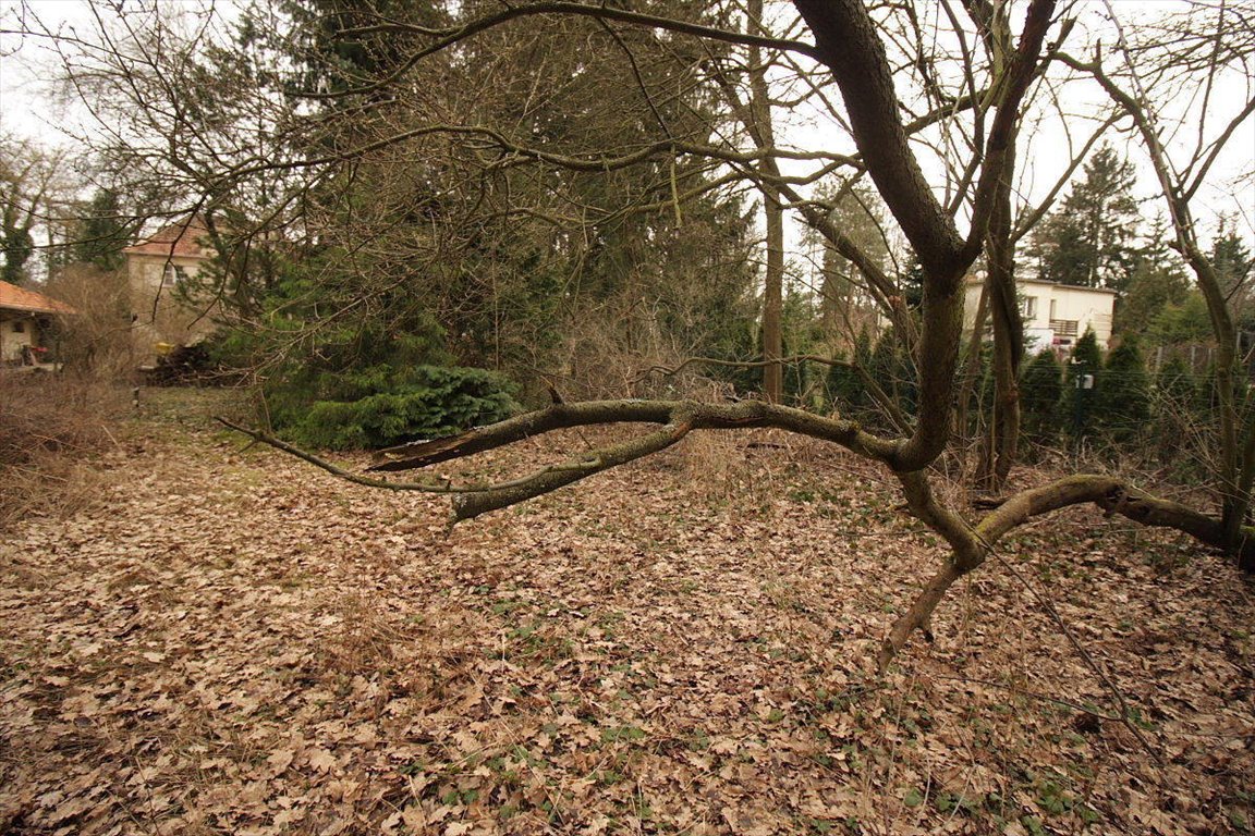Działka budowlana na sprzedaż Puszczykowo, Puszczykówko, Cyryla  Ratajskiego  1 200m2 Foto 1