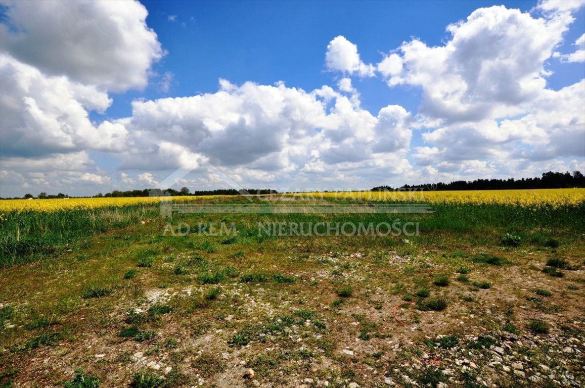 Działka budowlana na sprzedaż Biała Podlaska, Biała Podlaska, Cicibór Duży, Rakowiska  800m2 Foto 3