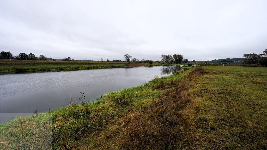 Działka siedliskowa na sprzedaż Łaś-Toczyłowo  5 000m2 Foto 1