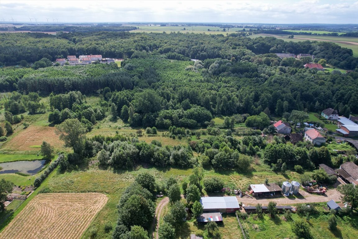 Działka inna na sprzedaż Wielka Wieś  4 000m2 Foto 9