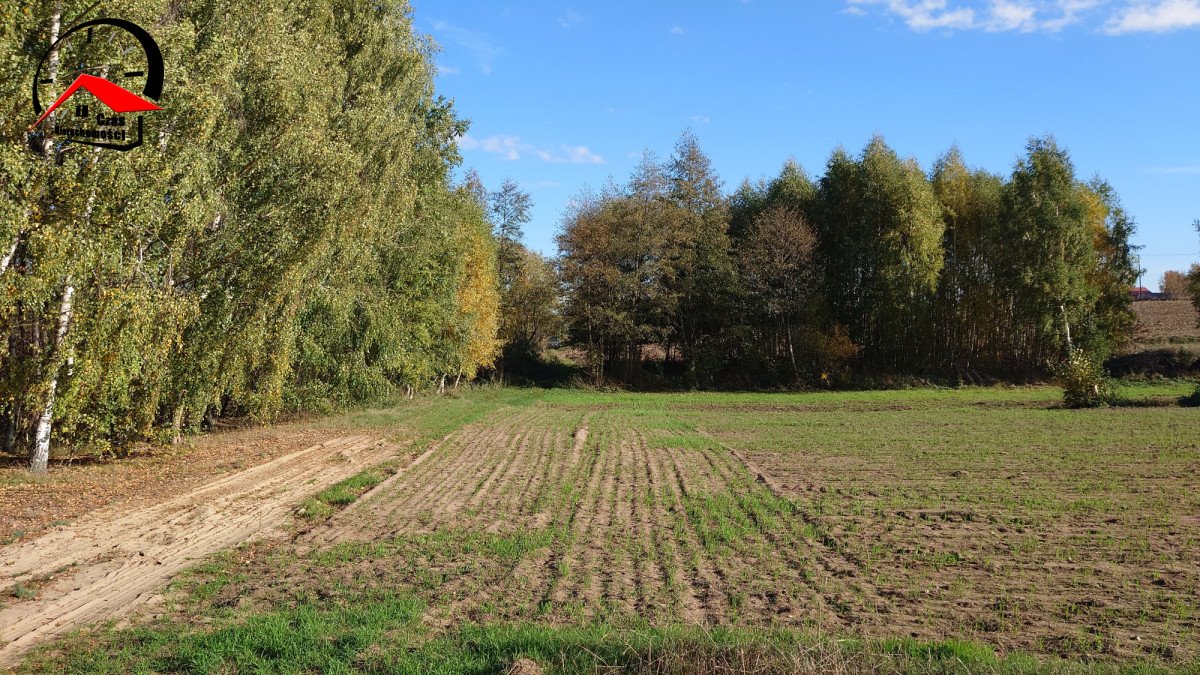 Działka gospodarstwo rolne na sprzedaż Topólka  2 000m2 Foto 3