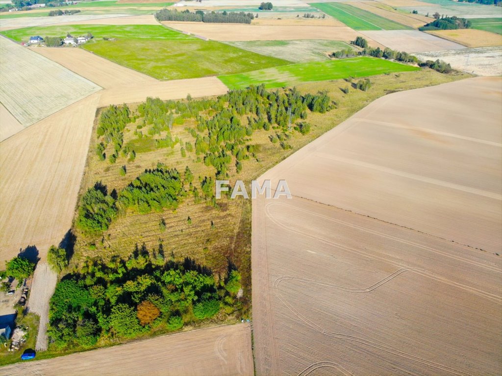 Działka rolna na sprzedaż Nowiny  50 829m2 Foto 1