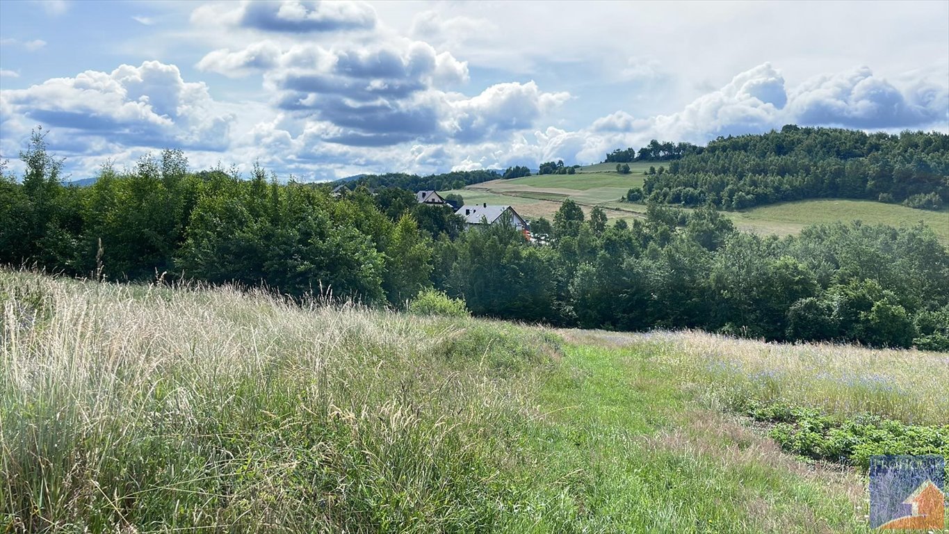 Działka inna na sprzedaż Stare Rybie  1 700m2 Foto 12